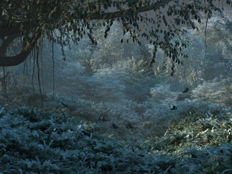 Rain forest 3D Model