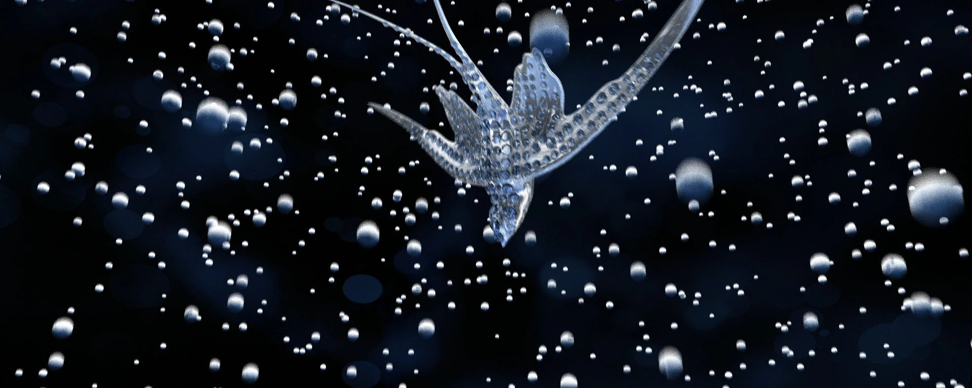 Swallow 3D Model .c4d .max .obj .3ds .fbx .stl .blend 