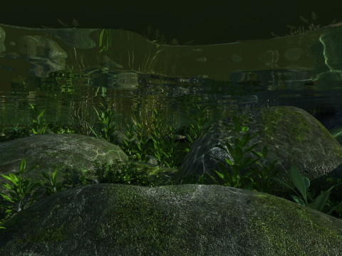 Rill 3D Model