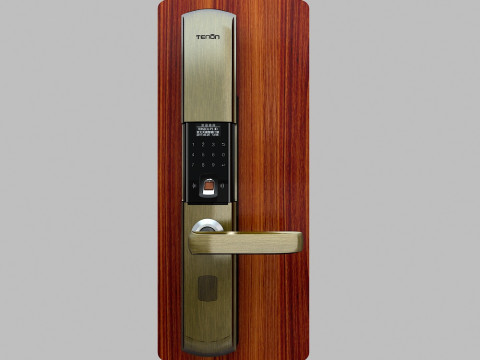 Door lock Modelo 3D