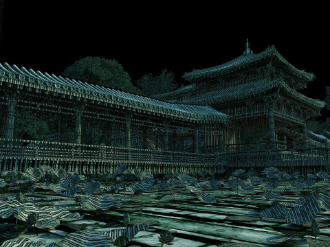 Lotus Pond Modello 3D