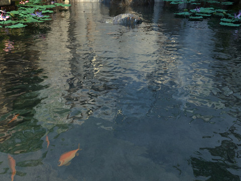Lotus Pond 3D Model