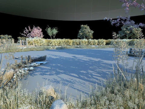 Lotus Pond 3D Model