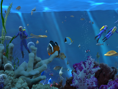 Seabed 3D Model