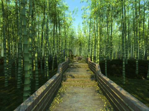 Бамбуковый лес 3D Модель