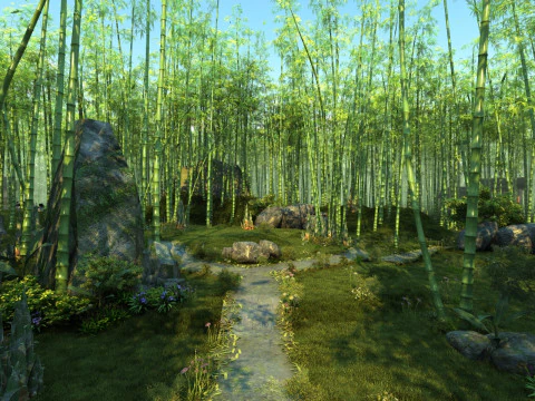 Bamboo forest 3D Model