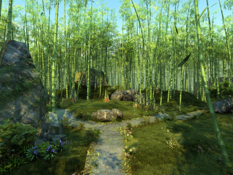 Bamboo forest 3D Model