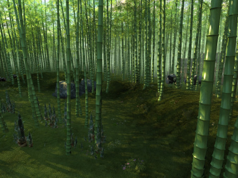 Bamboo forest Model 3D