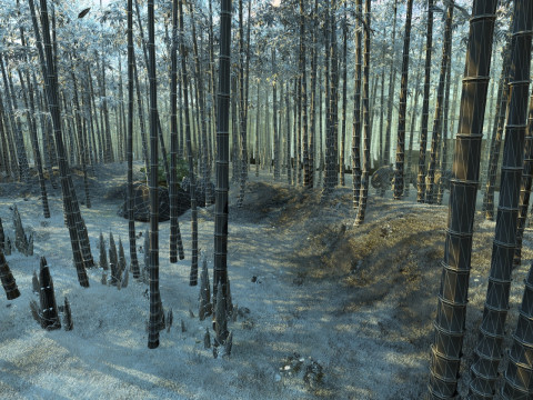 Bamboo forest Model 3D