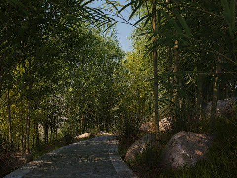 Bamboo grove 3D Model