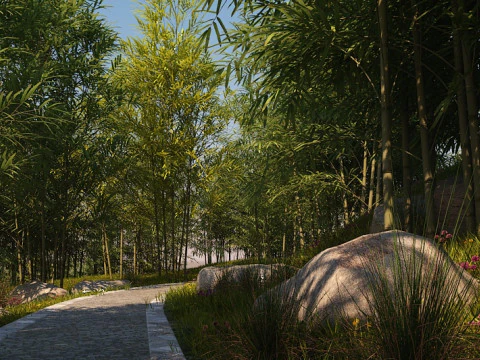Bamboo grove 3D Model