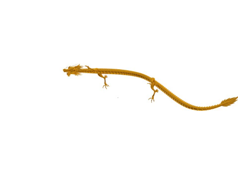 Dragon 3D Model