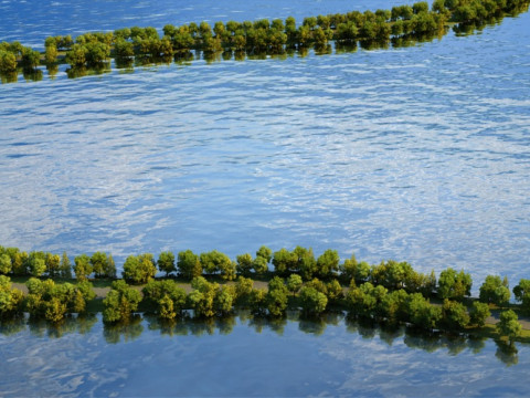 City Architecture 3D Model