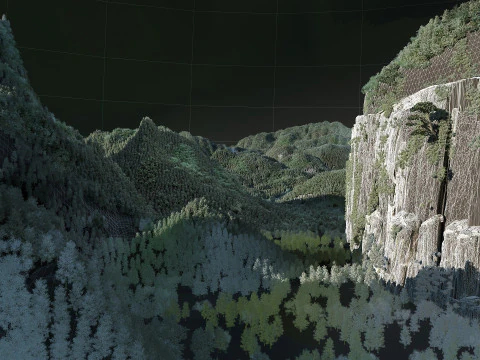 山の森 3Dモデル