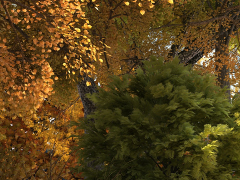 Парк 3D Модель