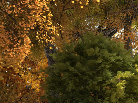 Парк 3D Модель