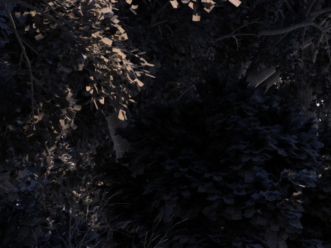 Парк 3D Модель