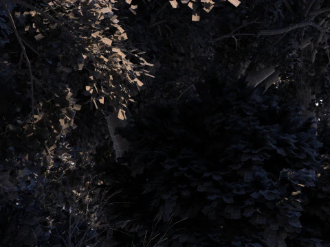 Парк 3D Модель