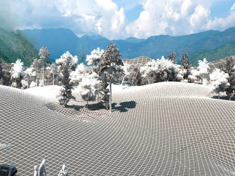 Golf Course 3D Model