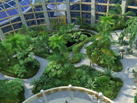 室内植物 3D 模型