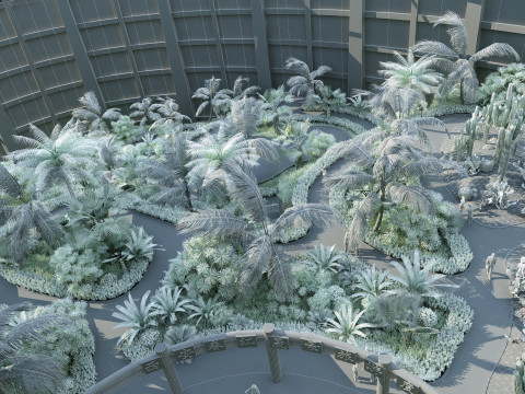 室内植物 3D 模型