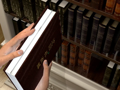 Library 3D Model