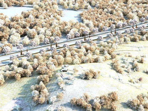 한 지방 3D 모델