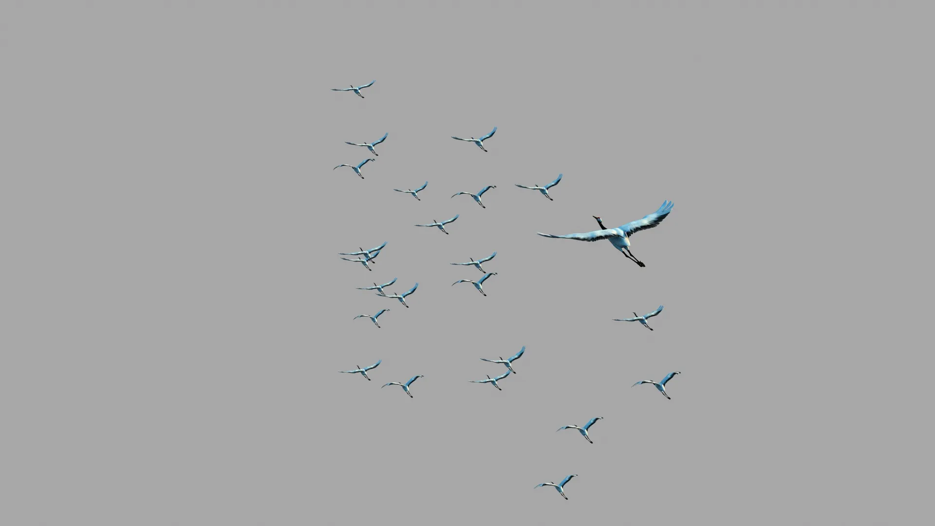 Crane 3D Model .c4d .max .obj .3ds .fbx .stl .blend