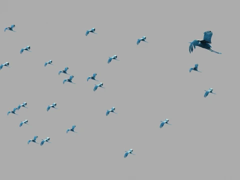 Crane 3D Model