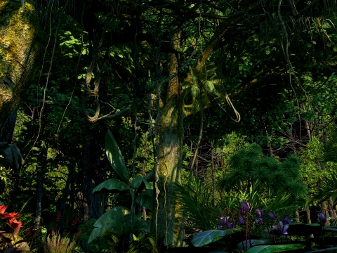 For&ecirc;t tropicale humide Modèle 3D
