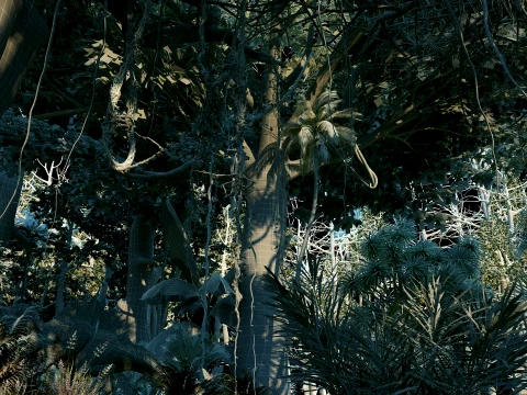 Tropical rainforest 3D Model