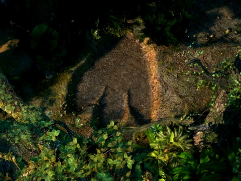 Tropical rainforest 3D Model
