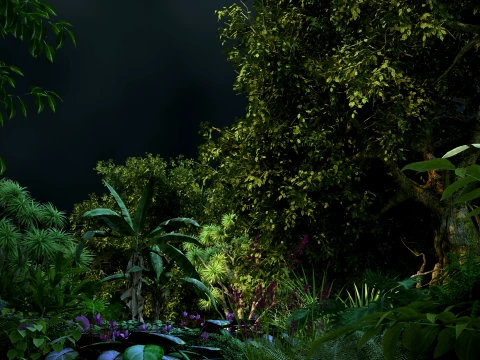 Tropical rainforest 3D Model