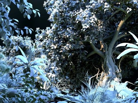 Tropical rainforest 3D Model