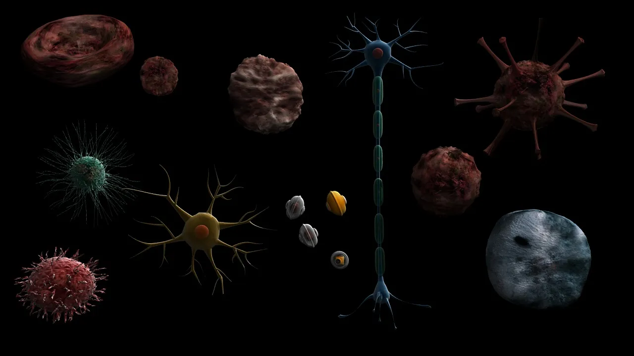 Cell 3D Model .c4d .max .obj .3ds .fbx .stl .blend 