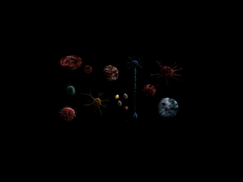 Cell 3D Model