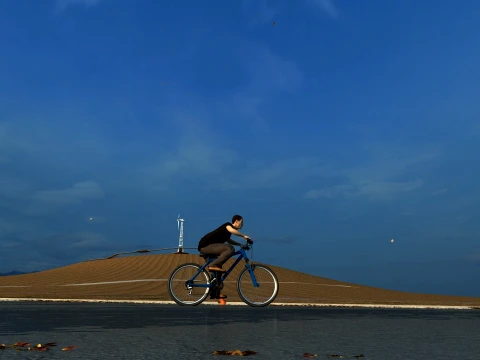 Bicycle race 3D Model