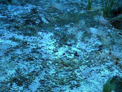海底 3Dモデル