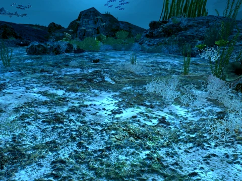 海底 3Dモデル