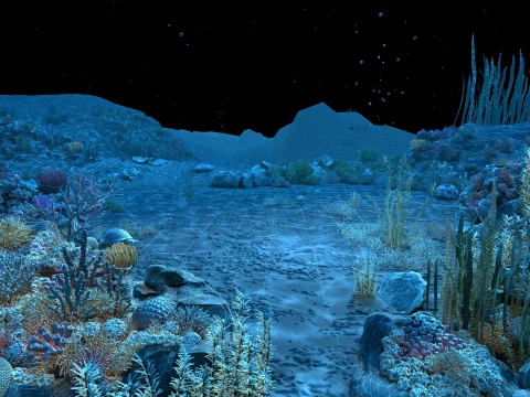 Undersea 3D Model