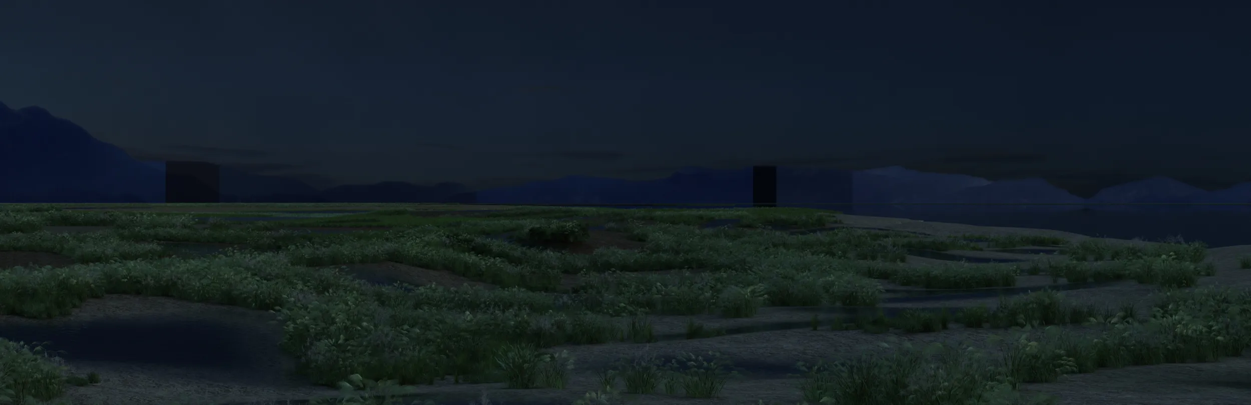 Pantanal Modelo 3D .c4d .max .obj .3ds .fbx .stl .blend 