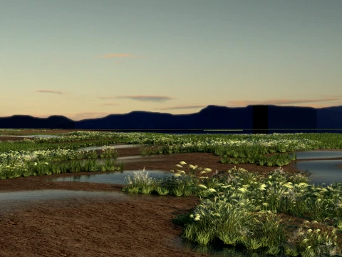 Pantanal Modelo 3D