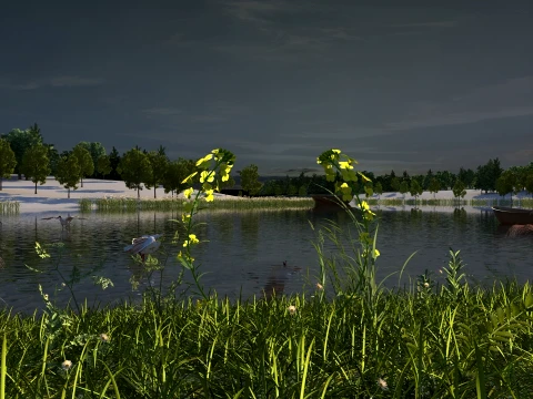 Wetland 3D Model