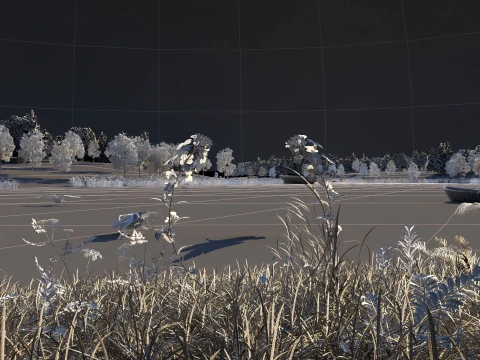 Wetland 3D Model