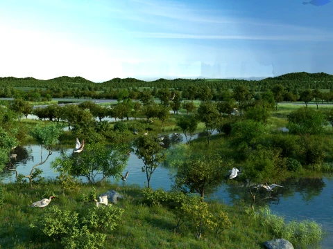 Zona umida Modello 3D