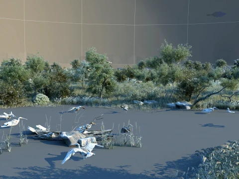 湿地 3Dモデル