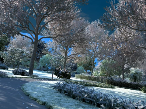 City park 3D Model