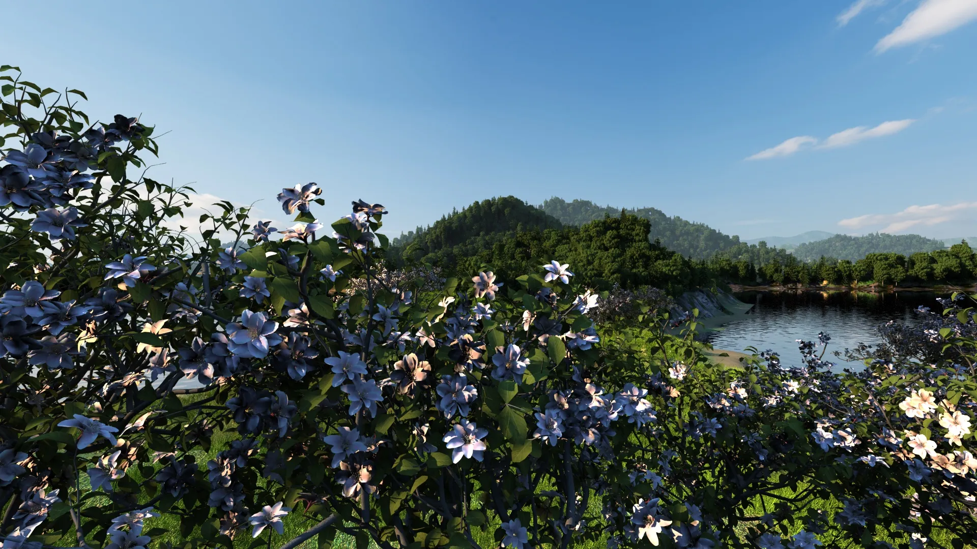 Park 3D Model .c4d .max .obj .3ds .fbx .stl .blend 