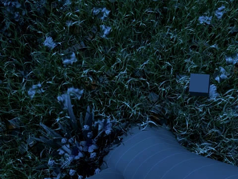 Park 3D Model