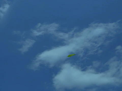 Garden 3D Model